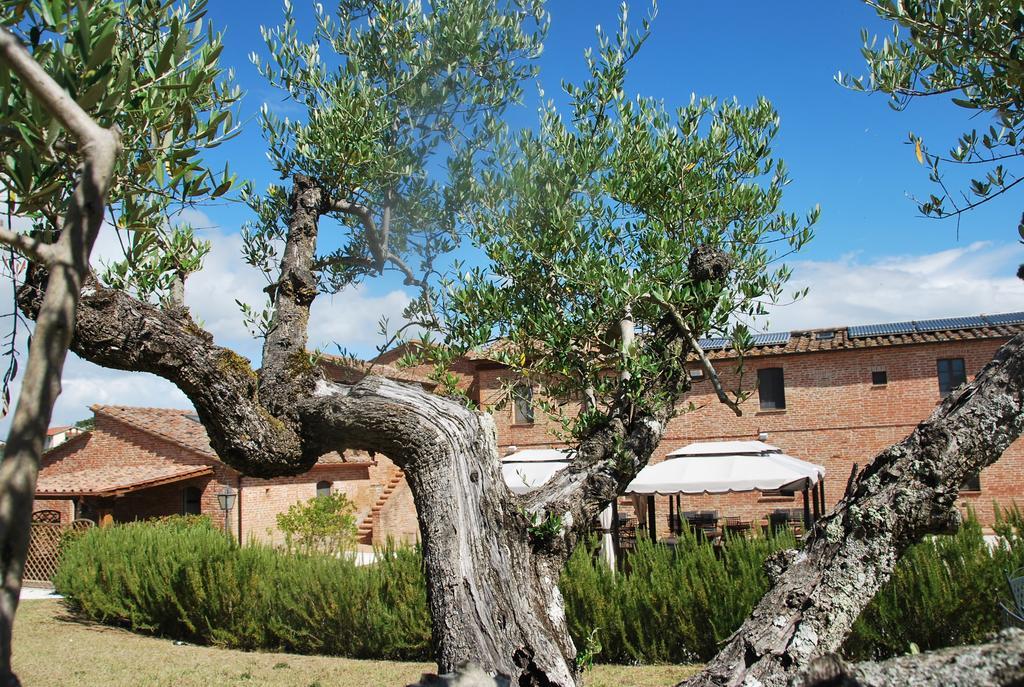 Agriturismo Le Torri Di Porsenna Villa Petrignano Del Lago Exterior photo