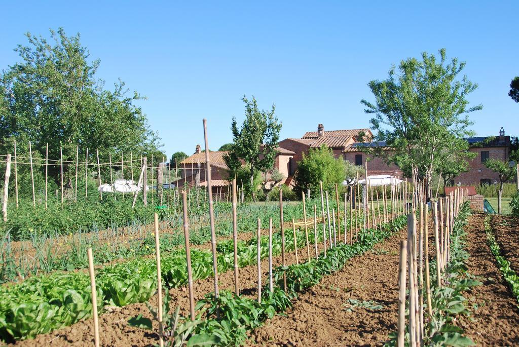 Agriturismo Le Torri Di Porsenna Villa Petrignano Del Lago Exterior photo